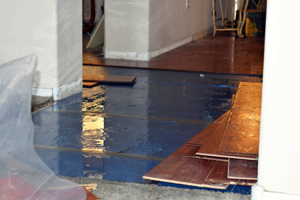 Professional Burst Pipe Cleanup technician working in Brenham, TX